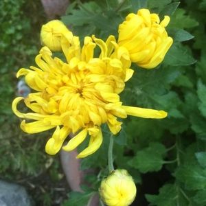 Meet your Posher, Thu